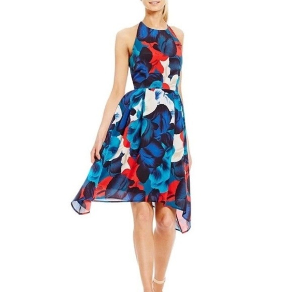 Antonio Melani Flora Floral Dress - Picture 1 of 8